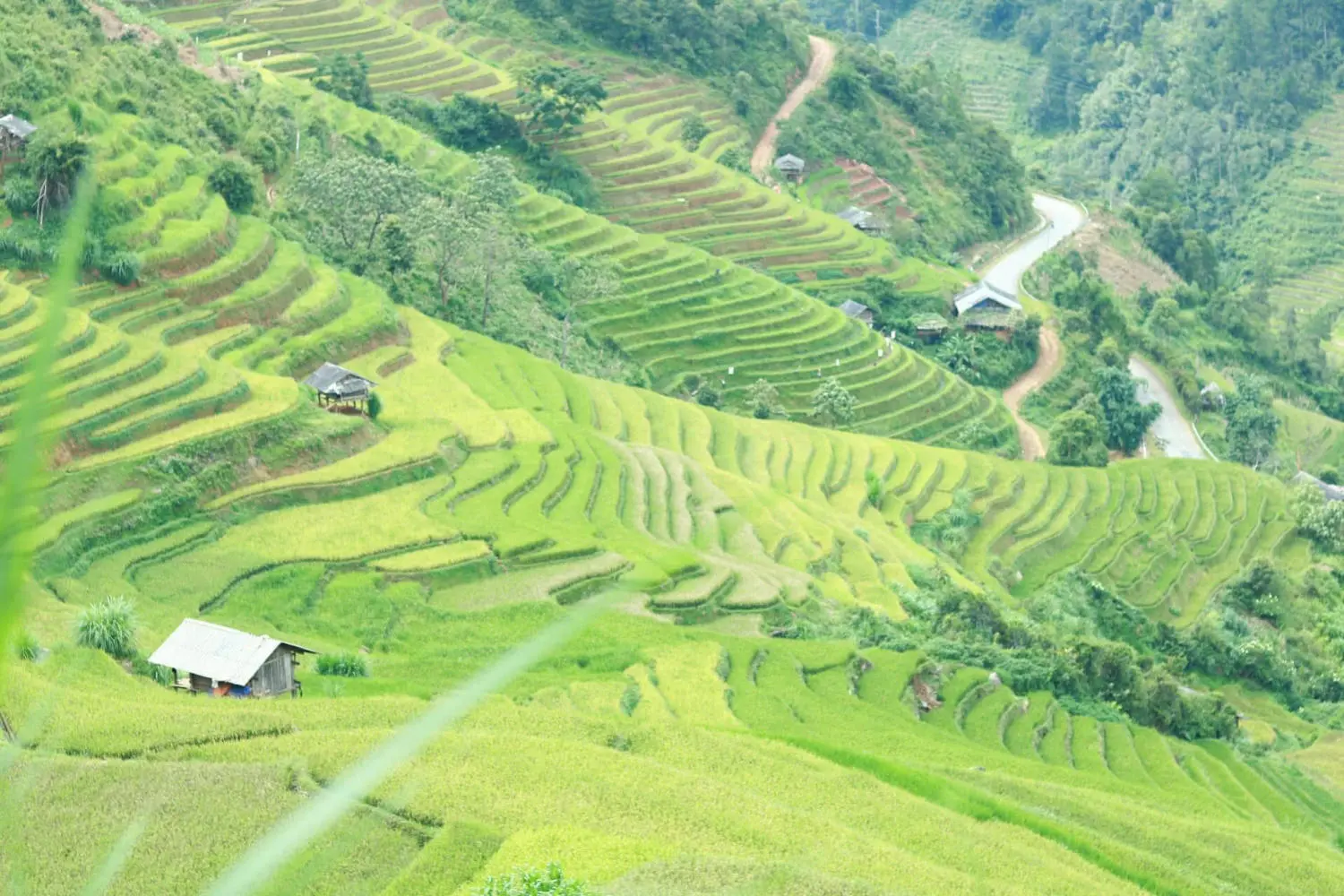Review M&ugrave; Cang Chải - Những ng&agrave;y vi vu kh&aacute;m ph&aacute; kh&ocirc;ng theo lịch tr&igrave;nh 4