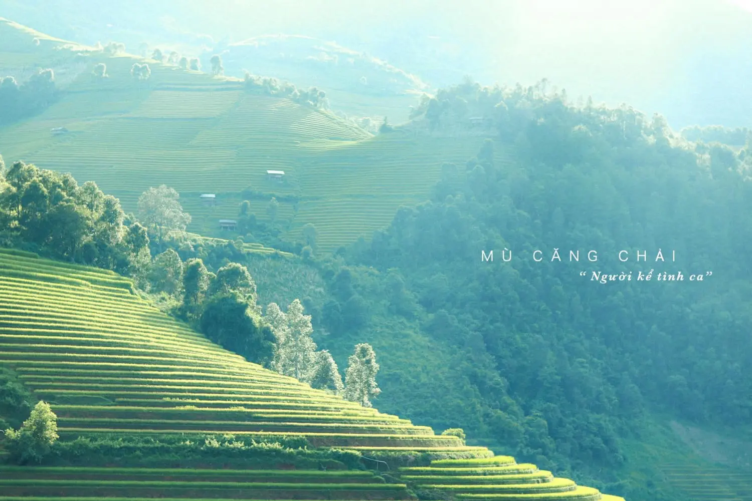 Review M&ugrave; Cang Chải - Những ng&agrave;y vi vu kh&aacute;m ph&aacute; kh&ocirc;ng theo lịch tr&igrave;nh 2
