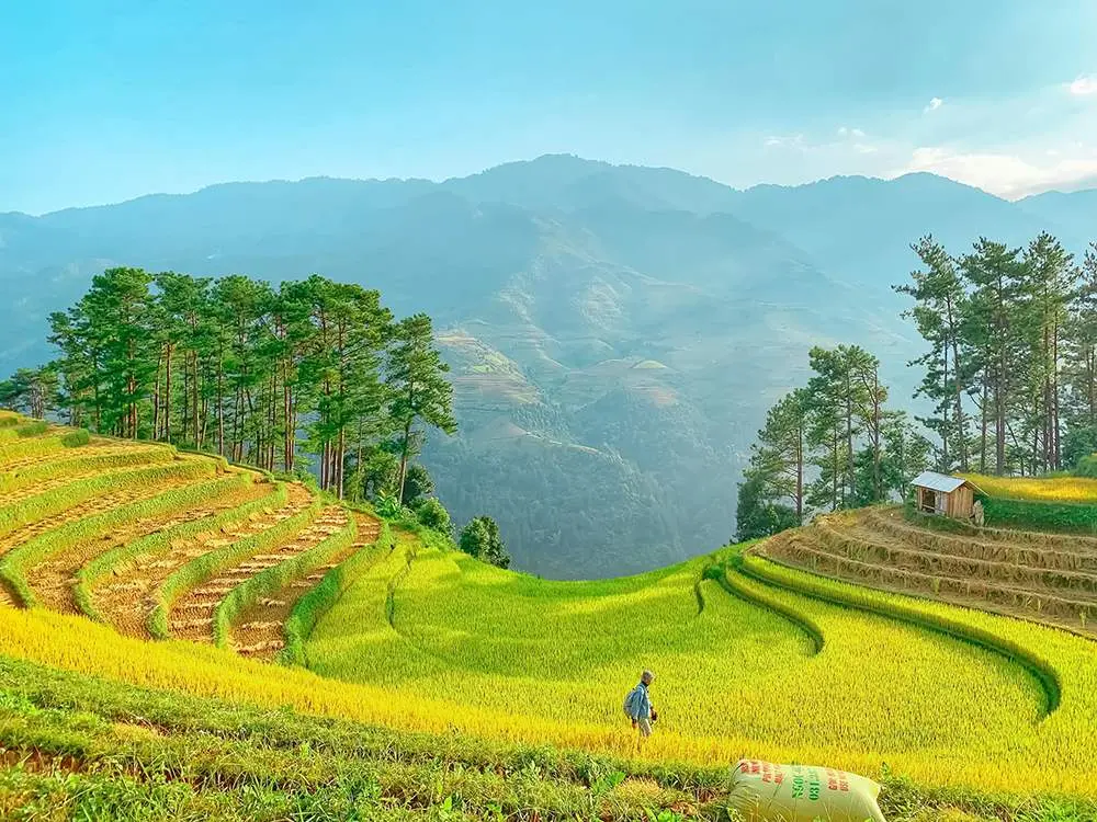Review Mù Cang Chải - Vẻ đẹp thuần khiết của thiên nhiên 6