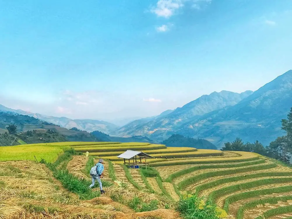 Review Mù Cang Chải - Vẻ đẹp thuần khiết của thiên nhiên 7