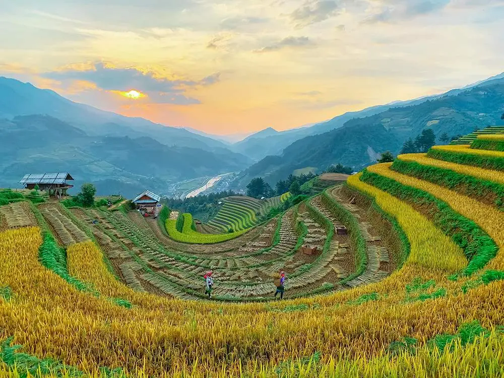 Review Mù Cang Chải - Vẻ đẹp thuần khiết của thiên nhiên 5