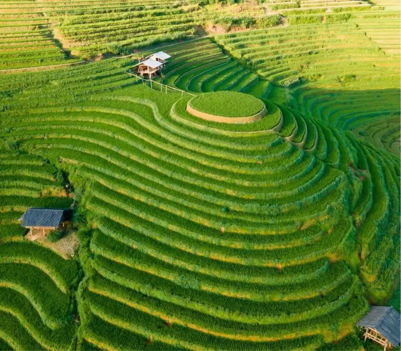 Ruộng bậc thang Mù Cang Chải: Nét đẹp giao hòa giữa Tây Bắc 7