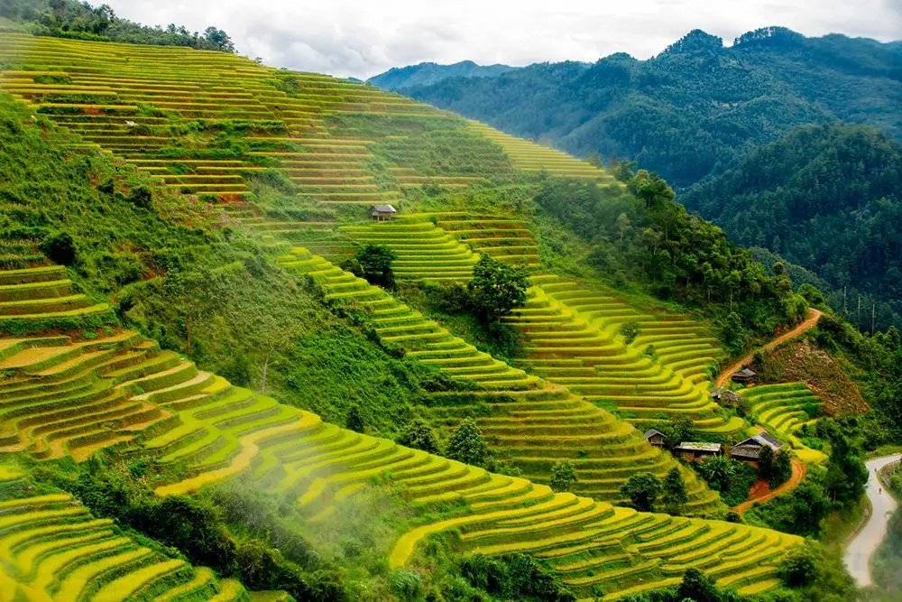 Trải nghiệm Review M&ugrave; Cang Chải c&ugrave;ng hội bạn th&acirc;n 5