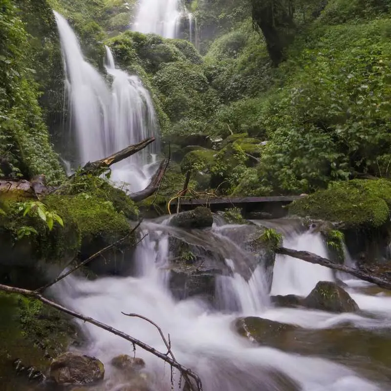 Trekking Lùng Cúng Yên Bái, điểm đến ấn tượng giữa rừng già 4