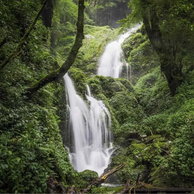 Trekking Lùng Cúng Yên Bái, điểm đến ấn tượng giữa rừng già 6