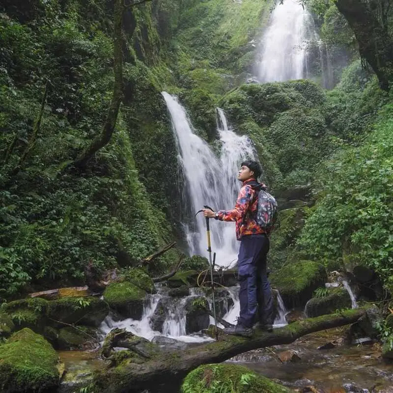 Trekking Lùng Cúng Yên Bái, điểm đến ấn tượng giữa rừng già 2