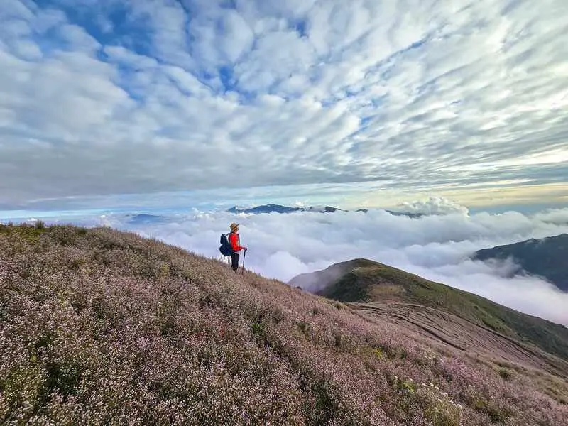 Trekking m&ugrave;a hoa Chi P&acirc;u phủ sắc t&iacute;m khắp T&agrave; Ch&igrave; Nh&ugrave; 18