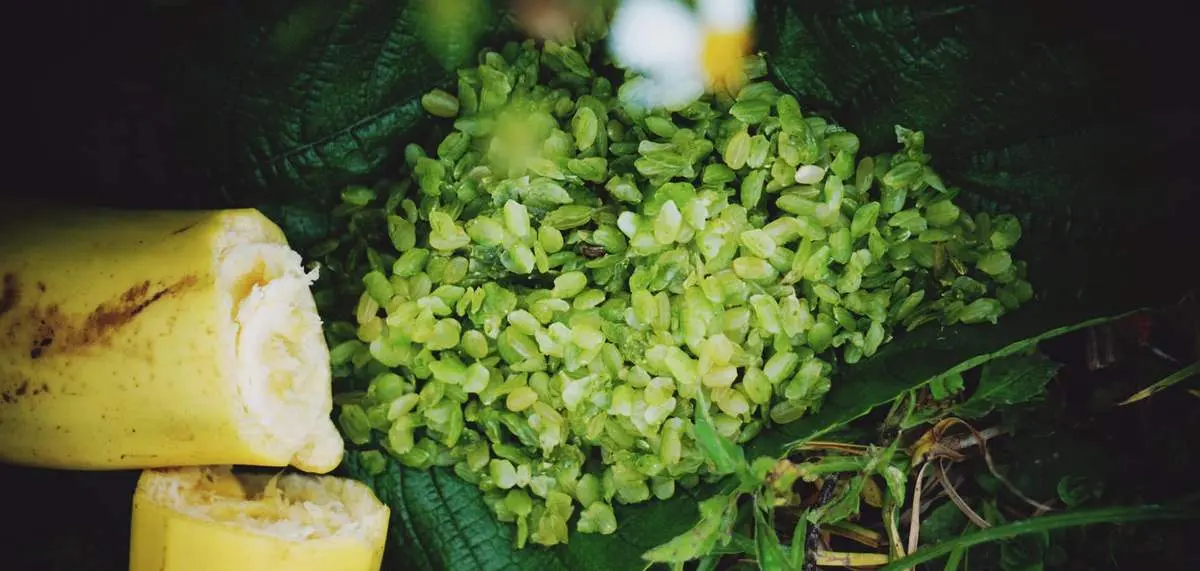 Hương cốm Tú Lệ ngày mùa - Thức quà chân phương của người Thái