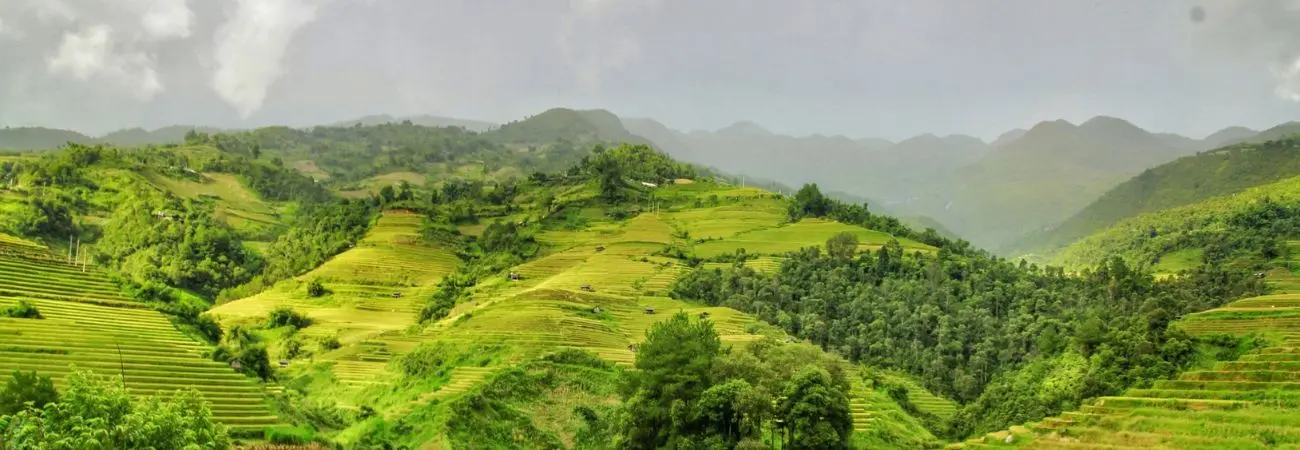 Lên đường khám phá Mù Cang Chải săn mùa lúa chín vàng