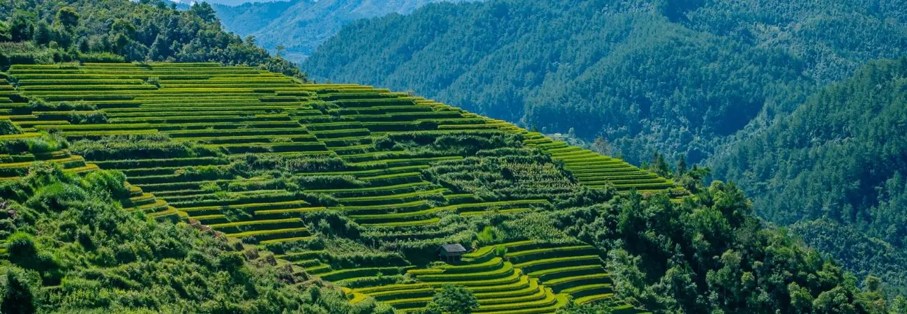 Mù Cang Chải hùng vĩ và nên thơ trên vùng cao Yên Bái