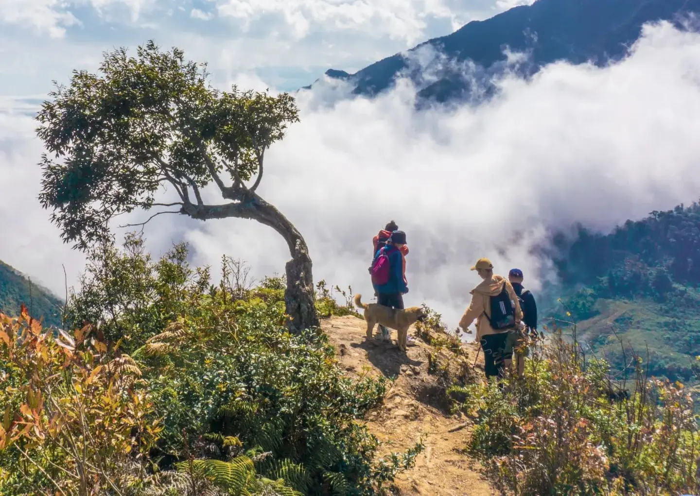 Trekking Lùng Cúng Yên Bái, điểm đến ấn tượng giữa rừng già