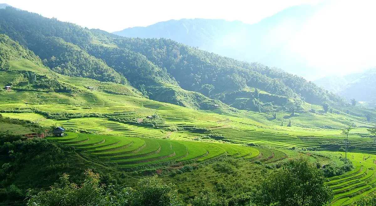 Alo, ở đây có Kinh nghiệm du lịch Trạm Tấu tự túc siêu xịn!