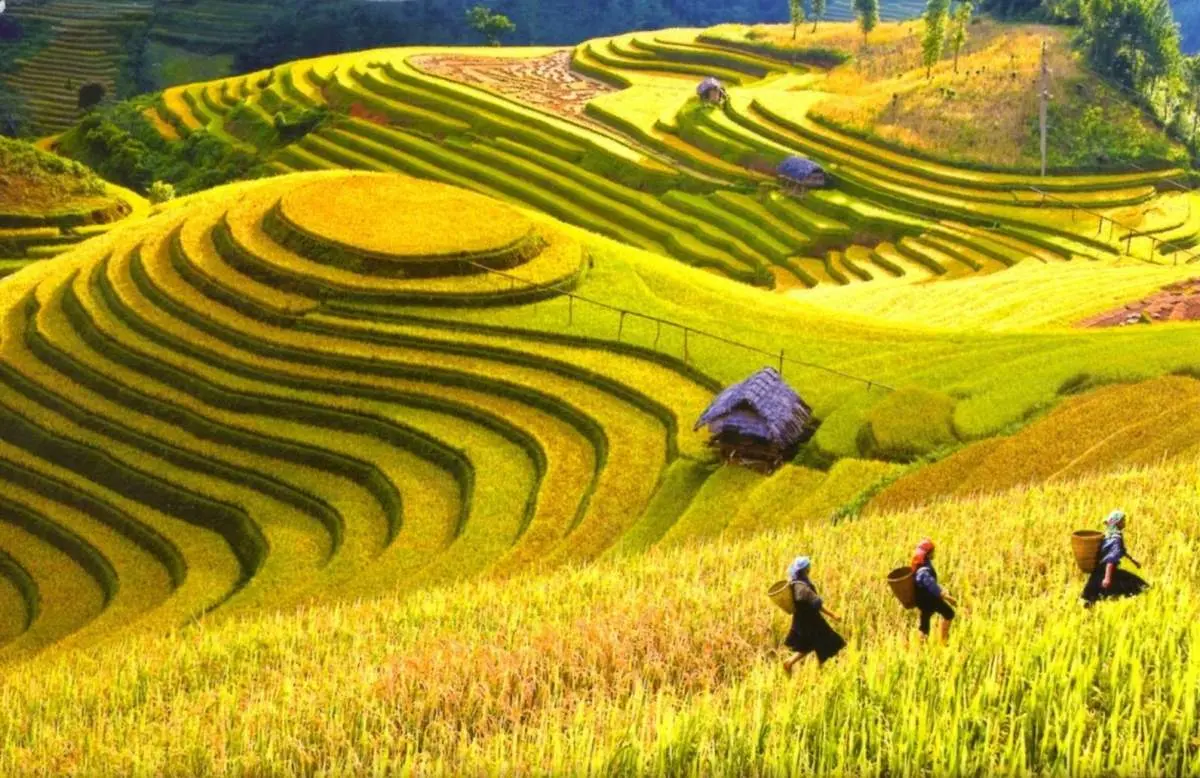 Bật m&iacute; cho bạn Kinh nghiệm kh&aacute;m ph&aacute; bản L&igrave;m M&ocirc;ng chi tiết nhất 2