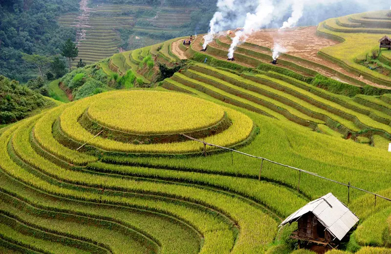 Bật m&iacute; Kinh nghiệm săn ảnh ruộng M&acirc;m X&ocirc;i M&ugrave; Cang Chải vạn người m&ecirc; 4