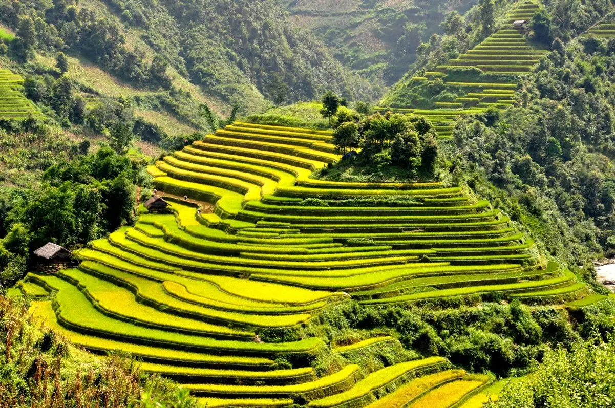 Kinh nghiệm du lịch Tú Lệ Yên Bái - Nàng thơ của vùng cao Tây Bắc 4