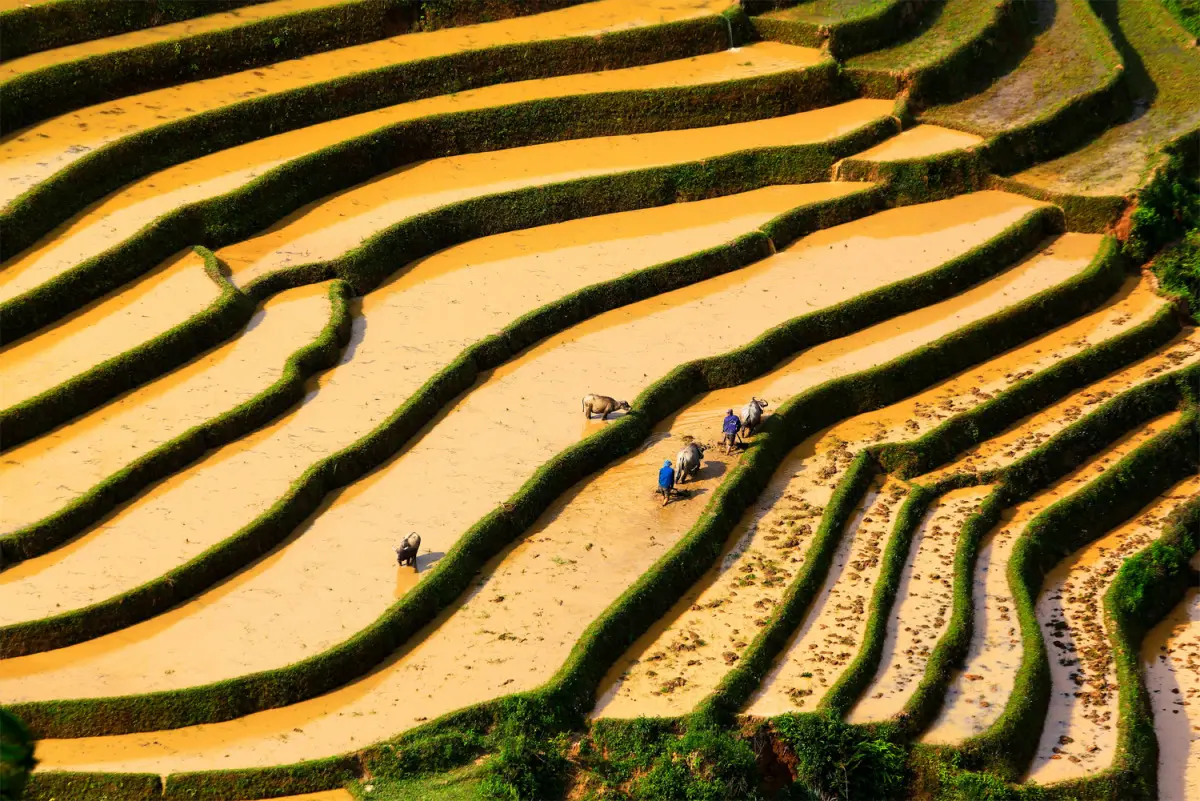 Kinh nghiệm du lịch Tú Lệ Yên Bái - Nàng thơ của vùng cao Tây Bắc 3