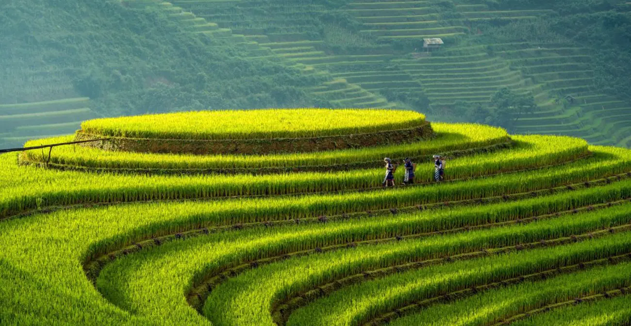 Kinh nghiệm phượt M&ugrave; Cang Chải cho người đi lần đầu, bạn đ&atilde; biết chưa? 4
