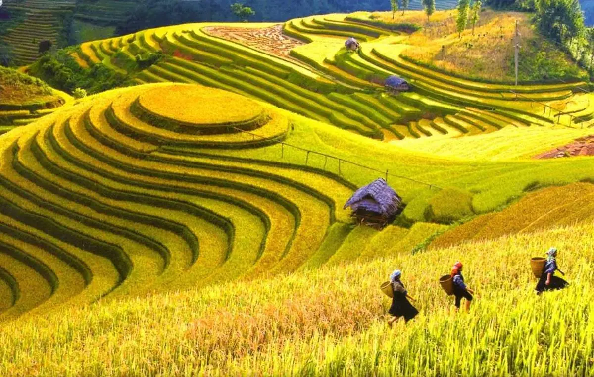 Kinh nghiệm phượt Y&ecirc;n B&aacute;i cho d&acirc;n đam m&ecirc; x&ecirc; dịch 2