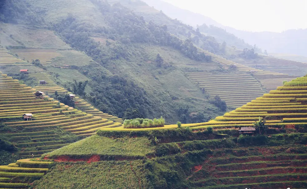 Kinh nghiệm phượt Y&ecirc;n B&aacute;i cho d&acirc;n đam m&ecirc; x&ecirc; dịch 3