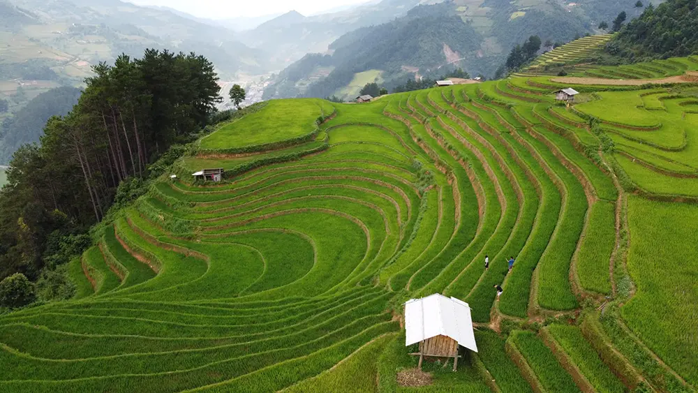 Kinh nghiệm phượt Y&ecirc;n B&aacute;i cho d&acirc;n đam m&ecirc; x&ecirc; dịch 5