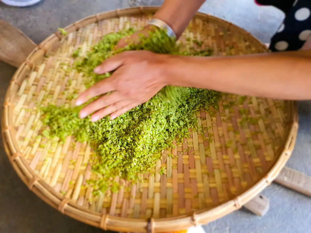 M&ugrave; Cang Chải m&ugrave;a l&uacute;a ch&iacute;n: Kinh nghiệm săn trọn khoảnh khắc v&agrave;ng đẹp nhất 9