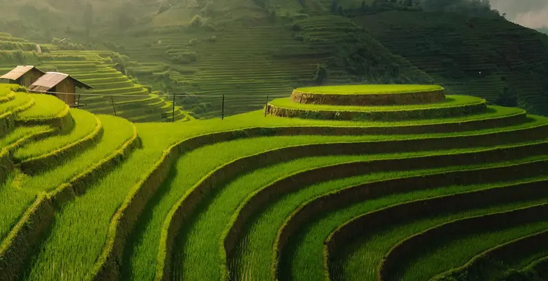 M&ugrave; Cang Chải m&ugrave;a l&uacute;a ch&iacute;n: Kinh nghiệm săn trọn khoảnh khắc v&agrave;ng đẹp nhất 2