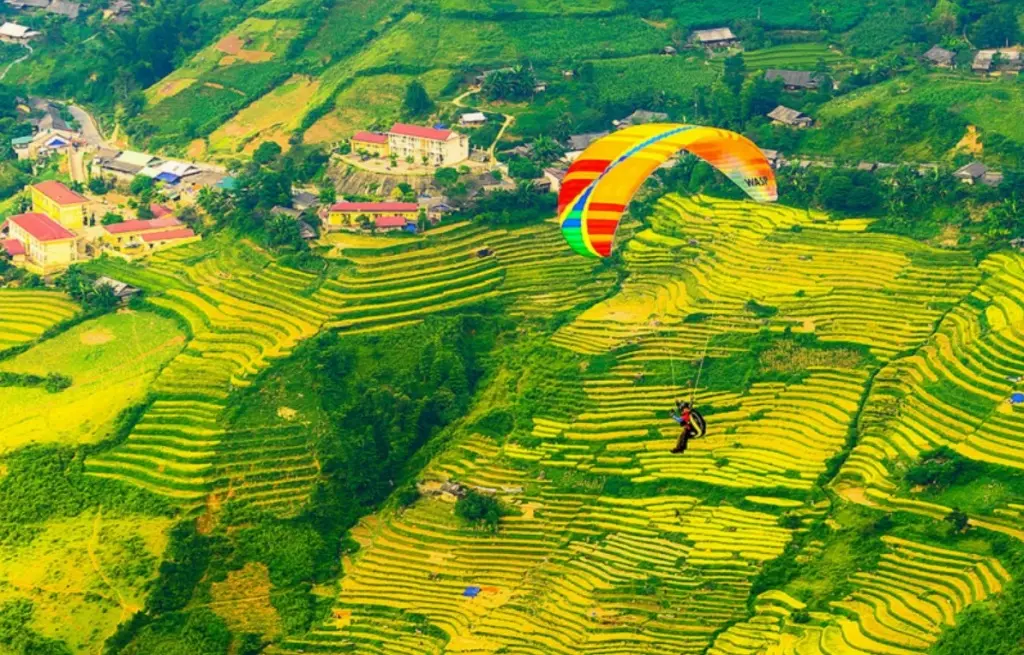 M&ugrave; Cang Chải m&ugrave;a l&uacute;a ch&iacute;n: Kinh nghiệm săn trọn khoảnh khắc v&agrave;ng đẹp nhất 6