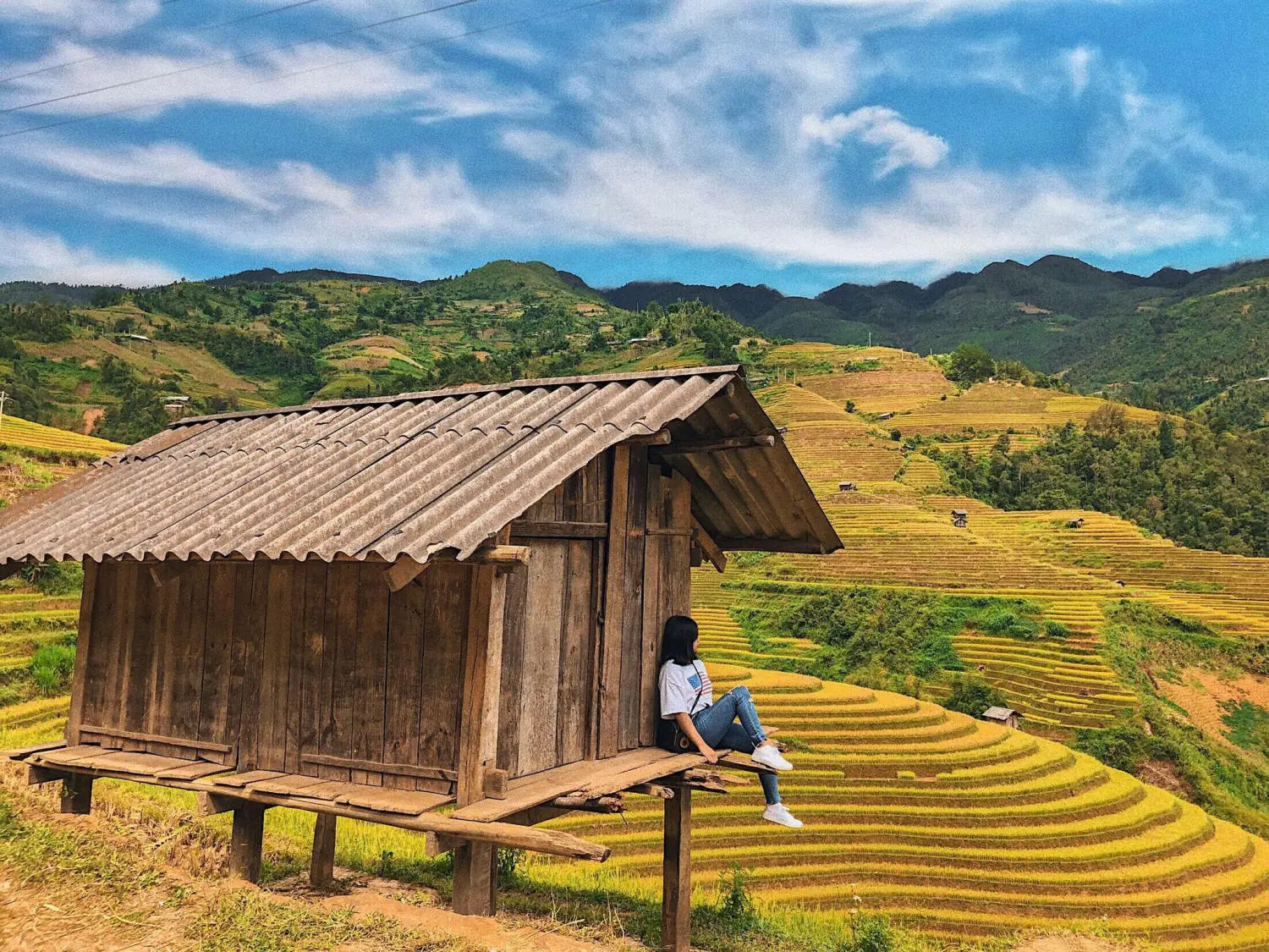 Kinh nghiệm khám phá mùa vàng Mù Cang Chải từ A đến Z