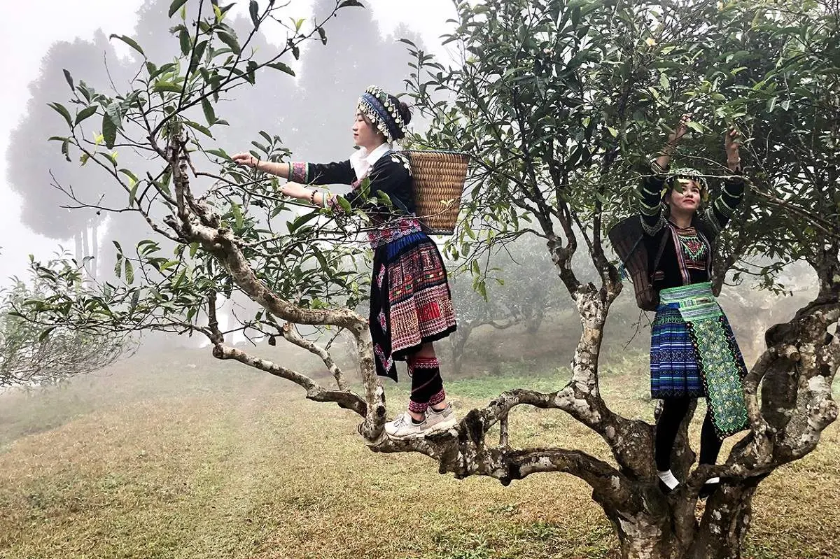 Kinh nghiệm phượt Suối Giàng tự túc cho người mới đi lần đầu
