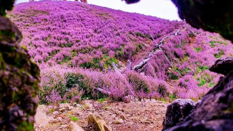 17 tiếng trekking T&agrave; Ch&igrave; Nh&ugrave; ngắn gọn, s&uacute;c t&iacute;ch cho người ưa trải nghiệm 3