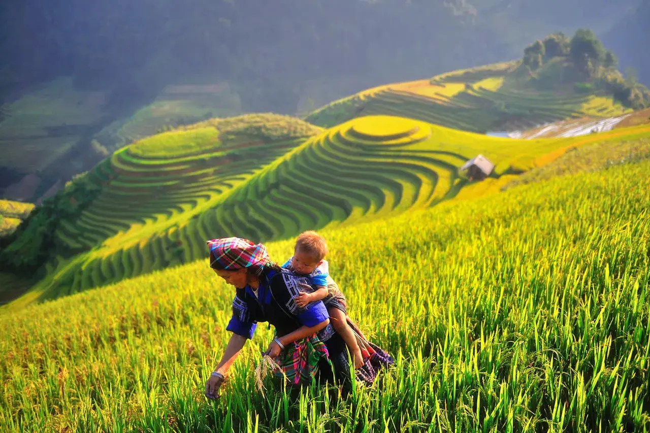 Bỏ t&uacute;i Lịch tr&igrave;nh kh&aacute;m ph&aacute; Y&ecirc;n B&aacute;i 3N2Đ tự t&uacute;c si&ecirc;u th&uacute; vị 2