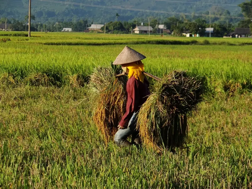 Kh&aacute;m ph&aacute; Y&ecirc;n B&aacute;i 2N1Đ tự t&uacute;c: Đi đ&acirc;u, chơi g&igrave;? 7