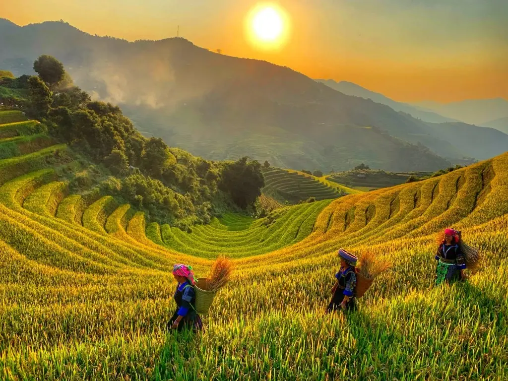 Kh&aacute;m ph&aacute; Y&ecirc;n B&aacute;i 2N1Đ tự t&uacute;c: Đi đ&acirc;u, chơi g&igrave;? 4