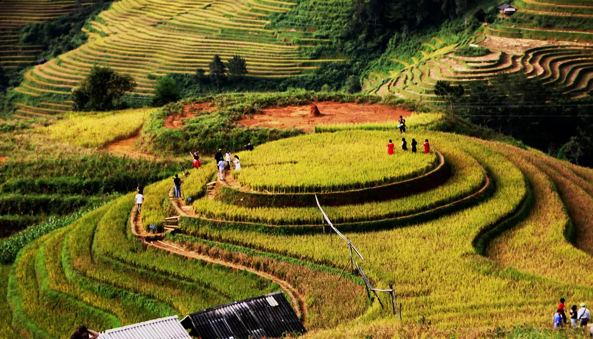 Lịch tr&igrave;nh M&ugrave; Cang Chải 2 ng&agrave;y gi&aacute; rẻ chi tiết nhất d&agrave;nh cho bạn 7