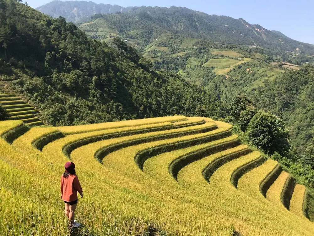 Lịch tr&igrave;nh M&ugrave; Cang Chải 2 ng&agrave;y gi&aacute; rẻ chi tiết nhất d&agrave;nh cho bạn 4