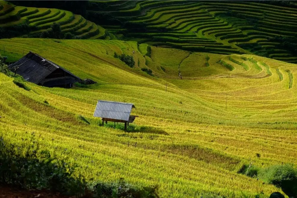 Lịch tr&igrave;nh M&ugrave; Cang Chải 3N2Đ d&agrave;nh cho t&iacute;n đồ kh&aacute;m ph&aacute; 7