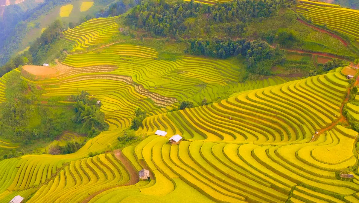 Lịch tr&igrave;nh M&ugrave; Cang Chải 3N2Đ d&agrave;nh cho t&iacute;n đồ kh&aacute;m ph&aacute; 10
