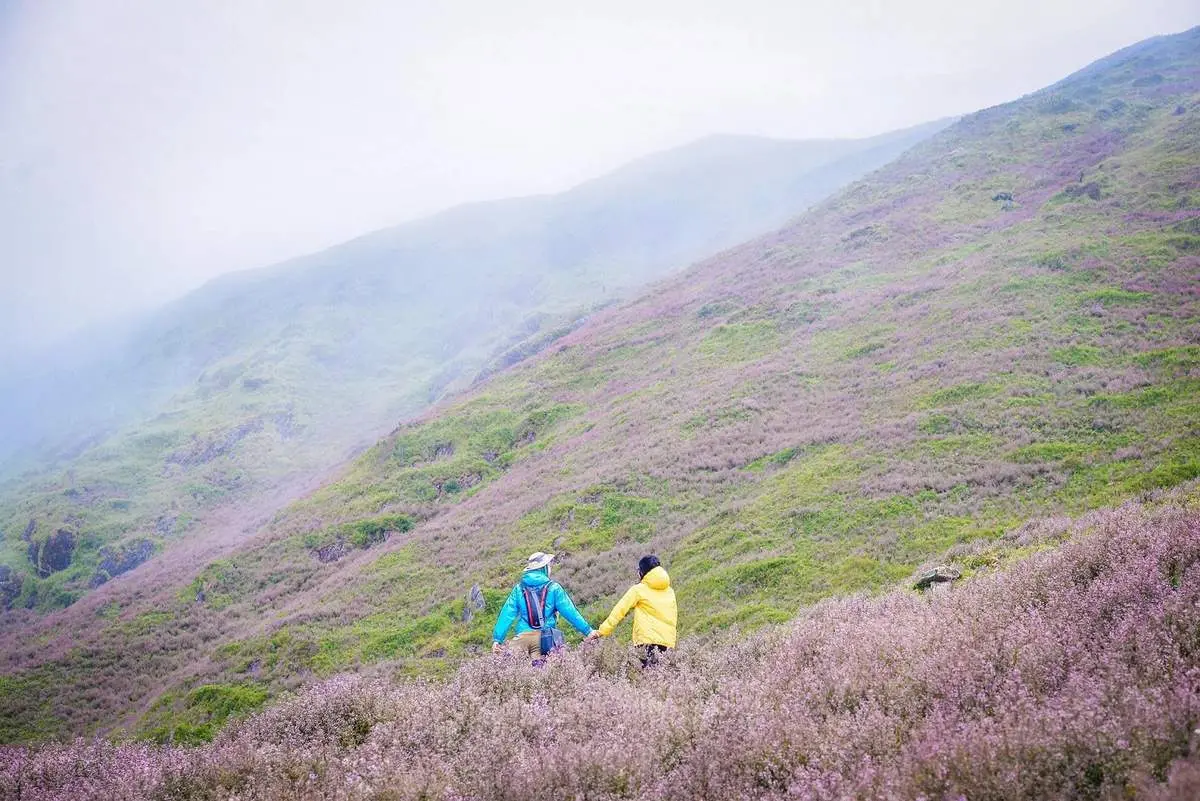Lịch tr&igrave;nh trekking T&agrave; Ch&igrave; Nh&ugrave; 3N2Đ - Ngọn n&uacute;i cao thứ 7 Việt Nam 3