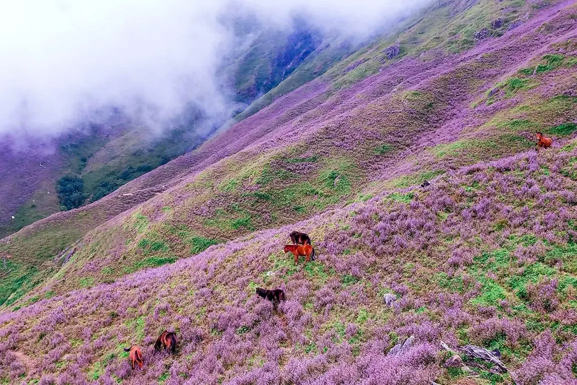 Lịch tr&igrave;nh trekking T&agrave; Ch&igrave; Nh&ugrave; - Tuy vất vả nhưng xứng đ&aacute;ng để trải nghiệm 3