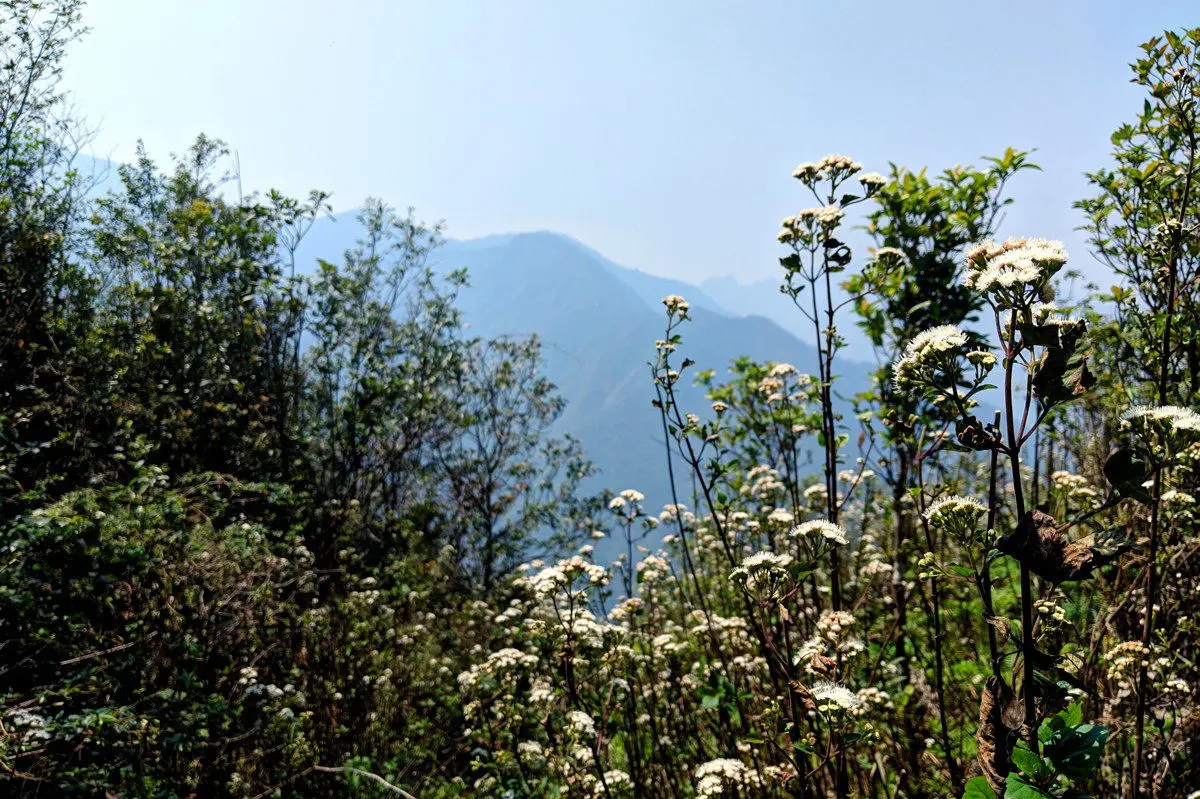 Lịch tr&igrave;nh trekking T&agrave; X&ugrave;a 3N2Đ - 72 giờ leo n&uacute;i săn m&acirc;y 7
