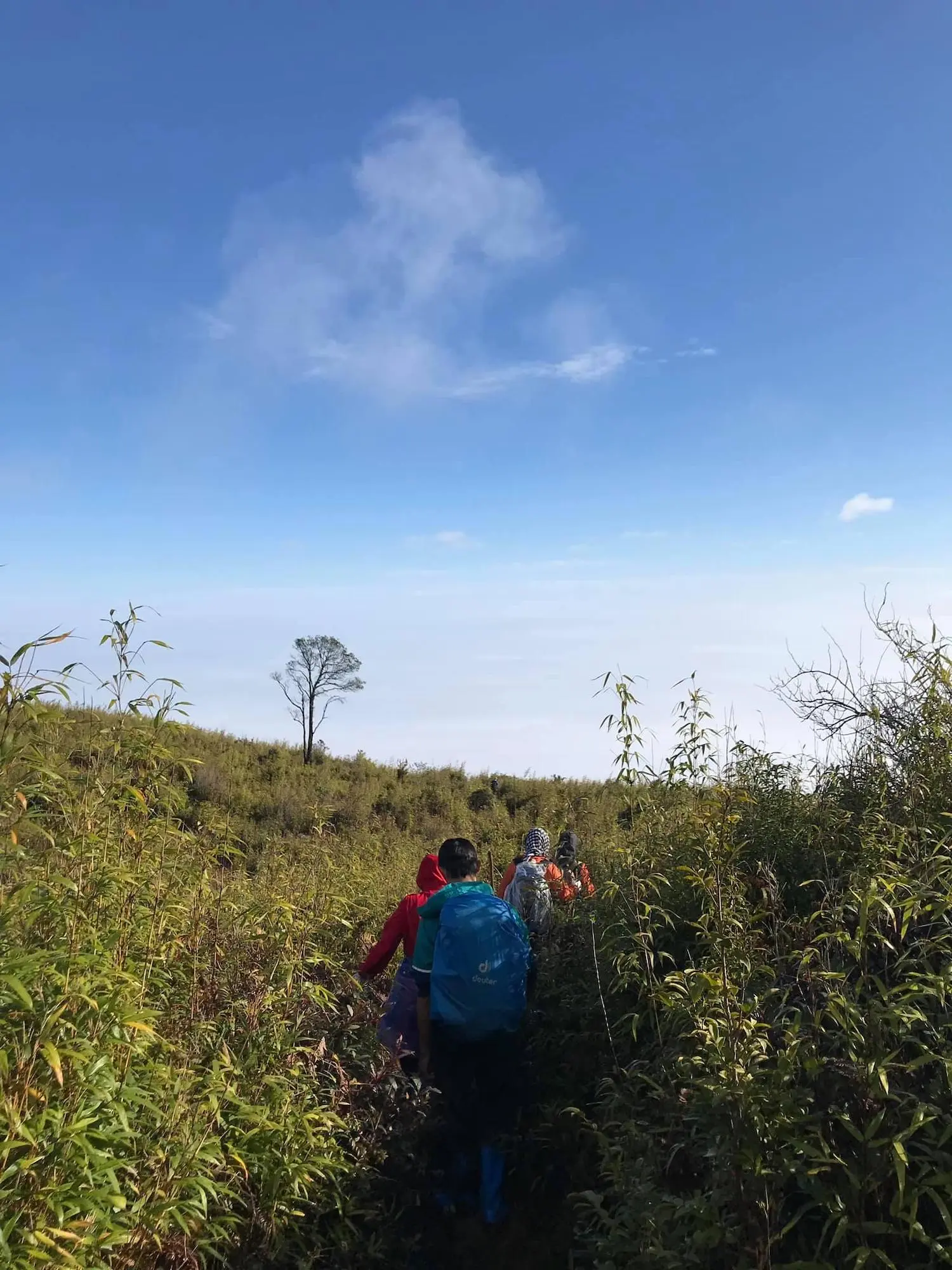 Lịch tr&igrave;nh trekking T&agrave; X&ugrave;a 3N2Đ - 72 giờ leo n&uacute;i săn m&acirc;y 6